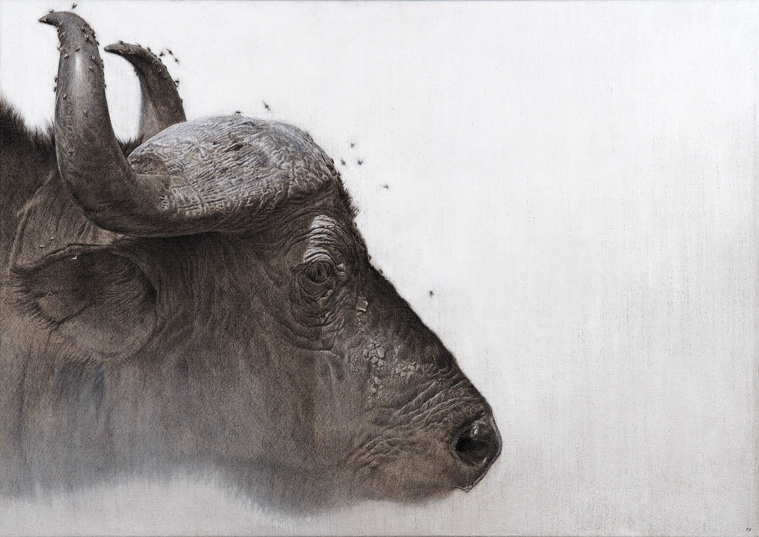 Buffalo artwork by Cy Baker