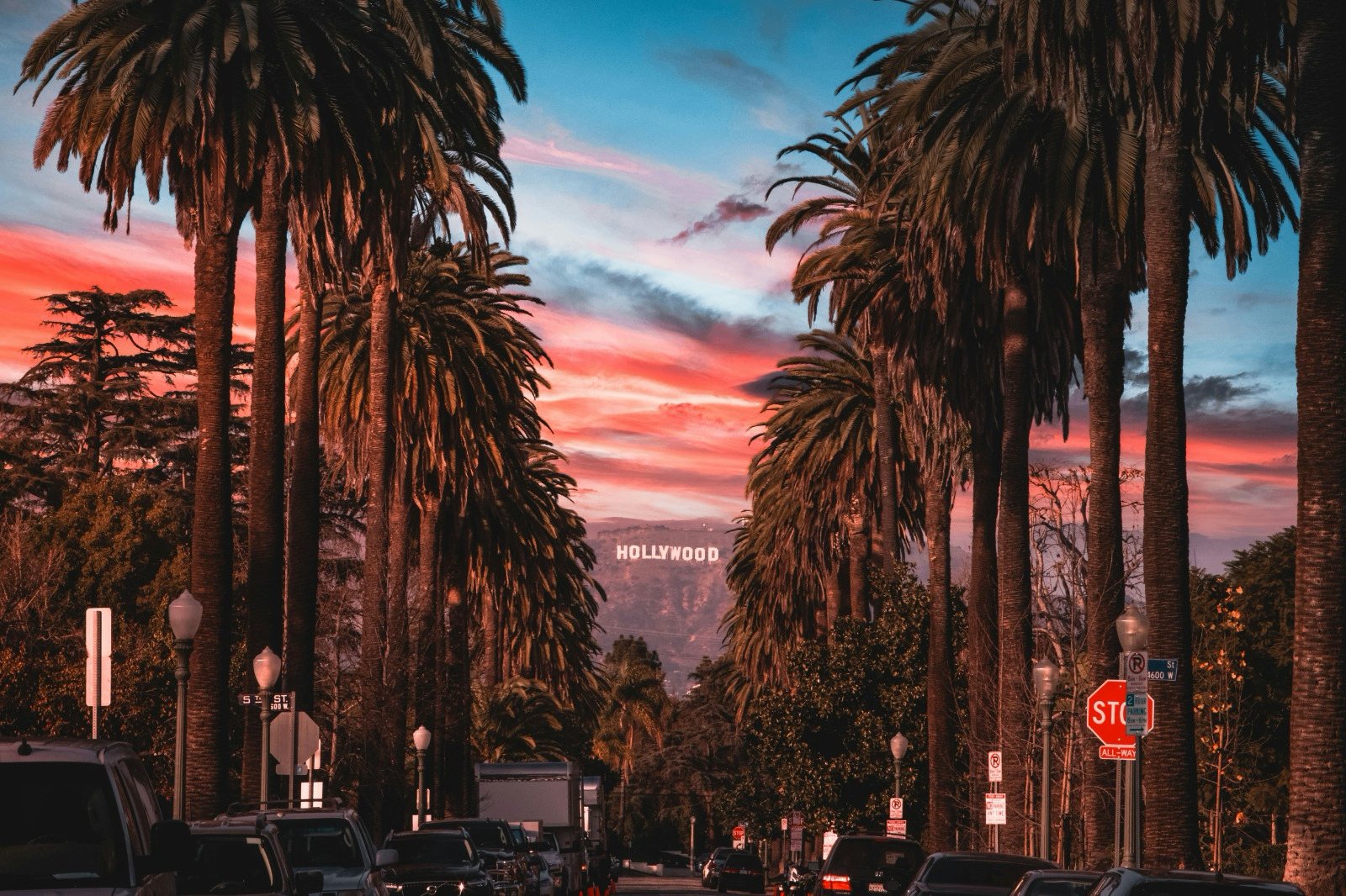 Palm-lined street in Los Angeles